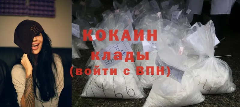 где купить наркоту  Курчатов  Cocaine Fish Scale 